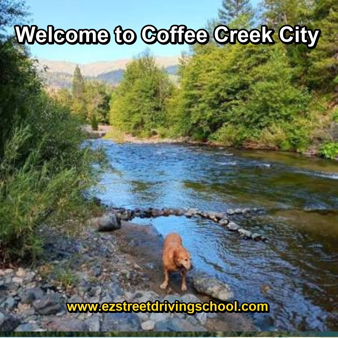 Driving Lessons in Coffee Creek
